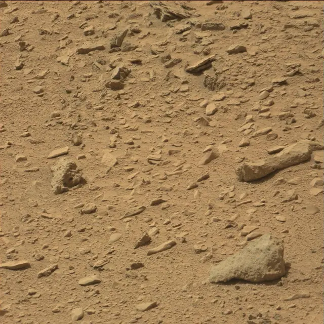 Sol 80: Mast Camera (Mastcam)