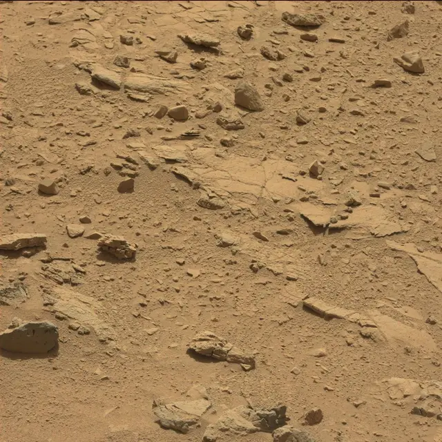 Sol 82: Mast Camera (Mastcam)