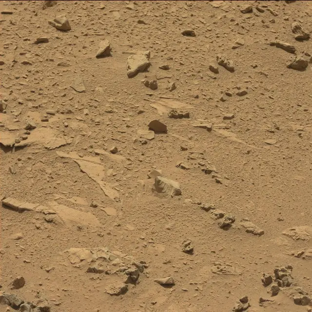 Sol 82: Mast Camera (Mastcam)