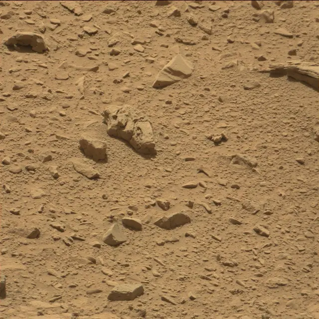 Sol 82: Mast Camera (Mastcam)