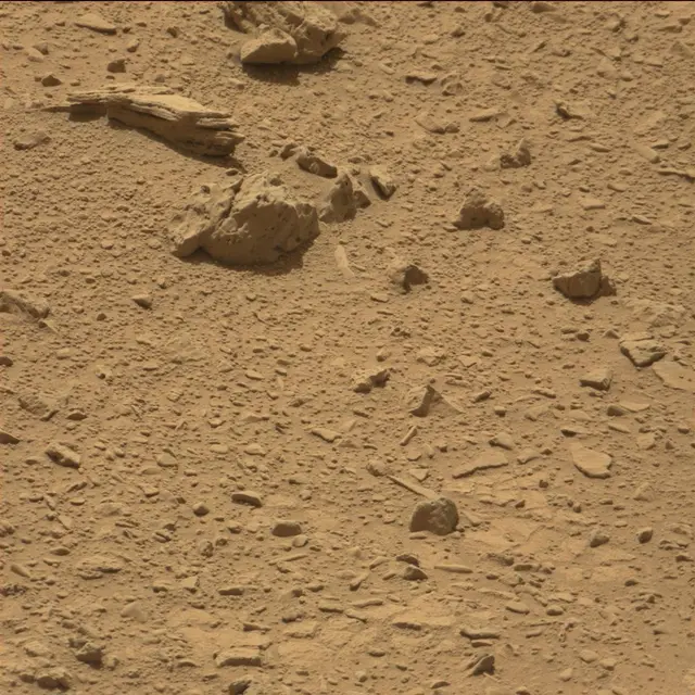Sol 82: Mast Camera (Mastcam)
