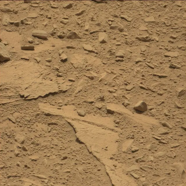 Sol 82: Mast Camera (Mastcam)