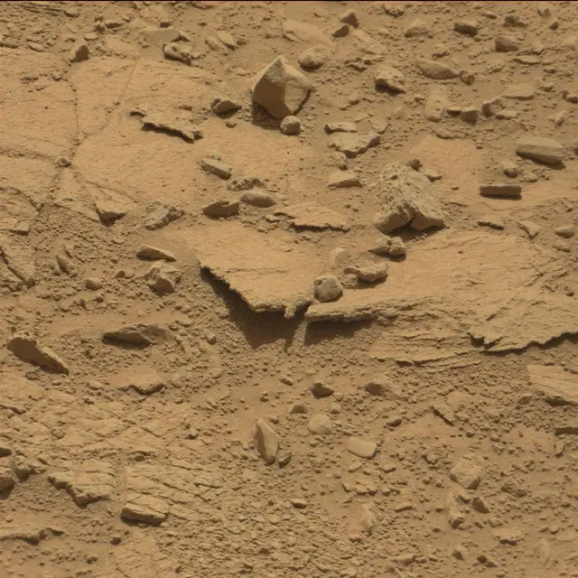 Sol 82: Mast Camera (Mastcam)