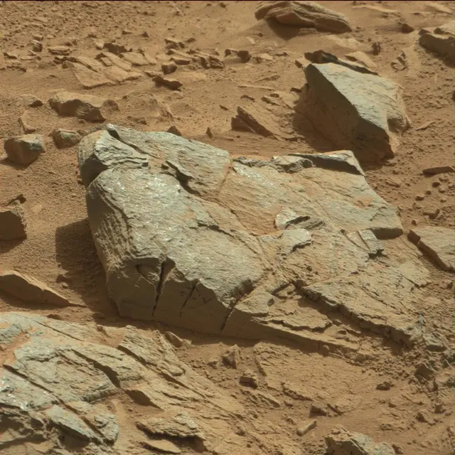 Sol 89: Mast Camera (Mastcam)