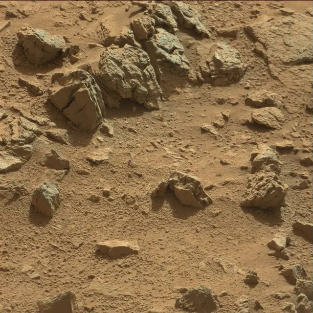 Sol 89: Mast Camera (Mastcam)