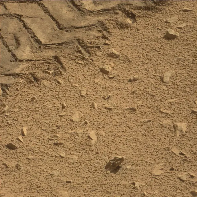 Sol 89: Mast Camera (Mastcam)