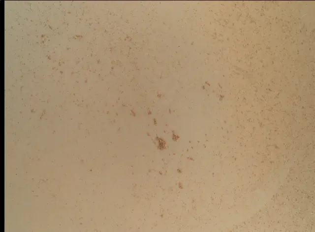 Sol 93: Mars Hand Lens Imager (MAHLI)