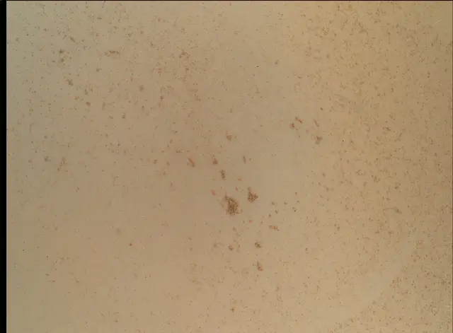 Sol 93: Mars Hand Lens Imager (MAHLI)