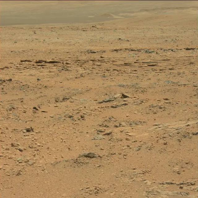 Sol 101: Mast Camera (Mastcam)
