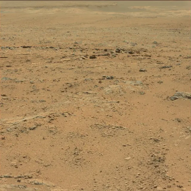 Sol 101: Mast Camera (Mastcam)