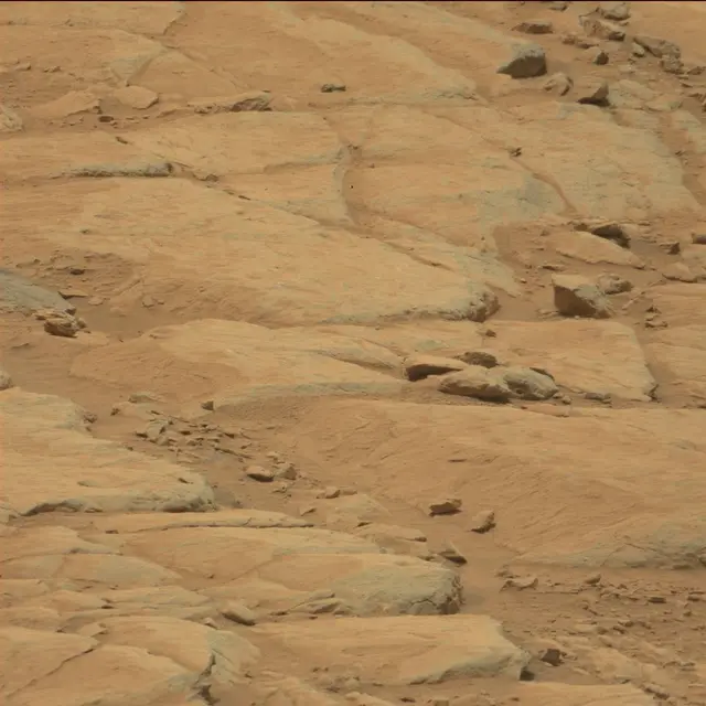 Sol 104: Mast Camera (Mastcam)