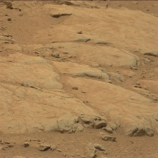 Sol 104: Mast Camera (Mastcam)