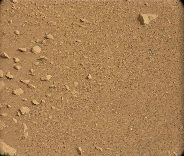 Sol 106: Mast Camera (Mastcam)