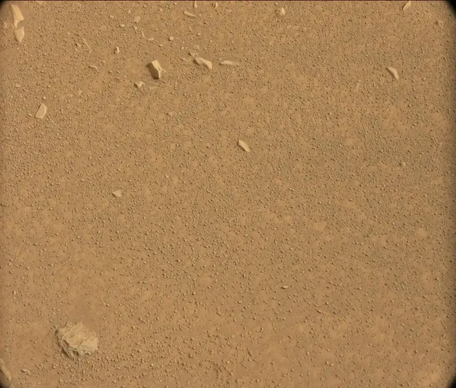 Sol 106: Mast Camera (Mastcam)