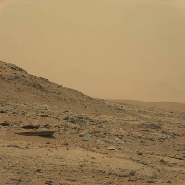 Sol 108: Mast Camera (Mastcam)