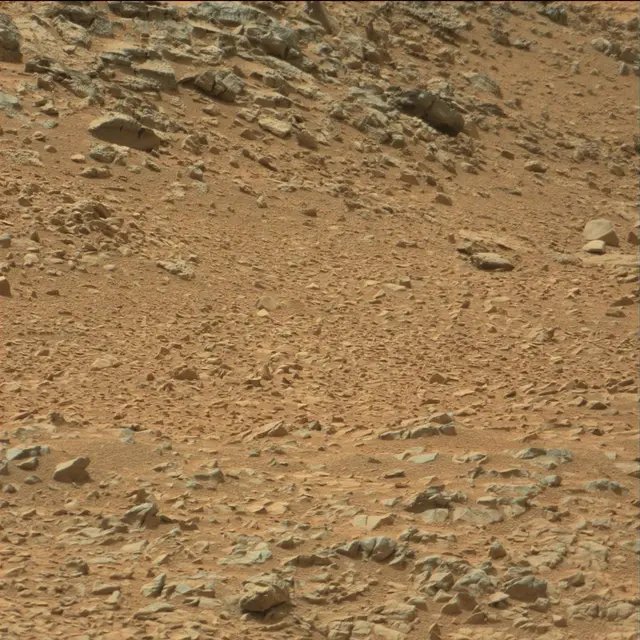 Sol 108: Mast Camera (Mastcam)