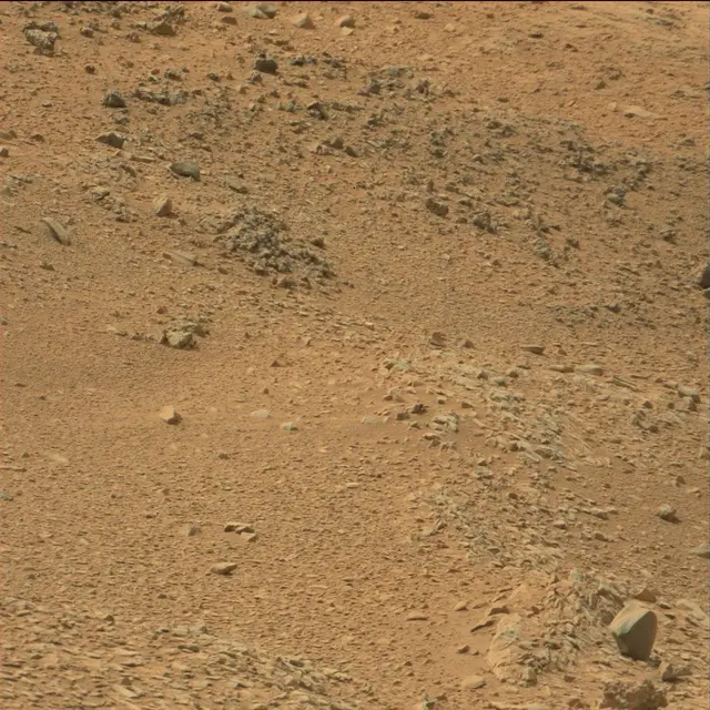 Sol 108: Mast Camera (Mastcam)