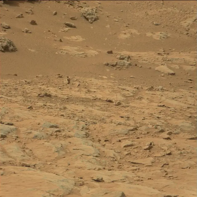 Sol 108: Mast Camera (Mastcam)