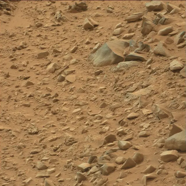 Sol 109: Mast Camera (Mastcam)