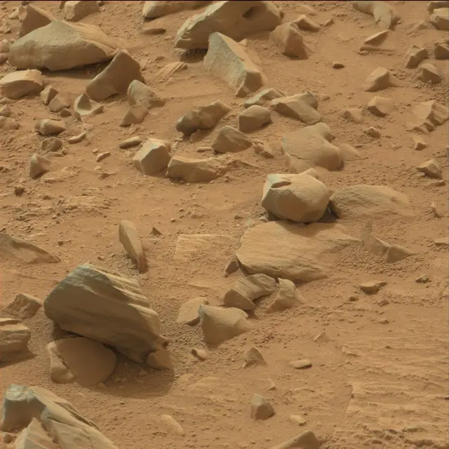 Sol 109: Mast Camera (Mastcam)