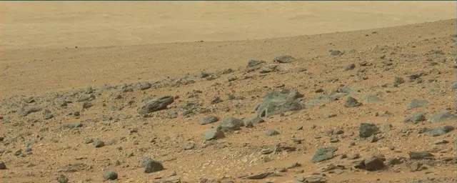 Sol 110: Mast Camera (Mastcam)