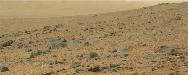 Sol 110: Mast Camera (Mastcam)