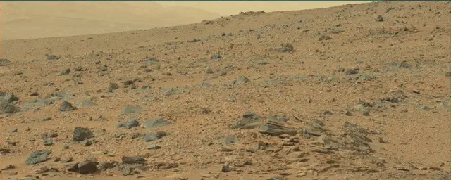 Sol 110: Mast Camera (Mastcam)