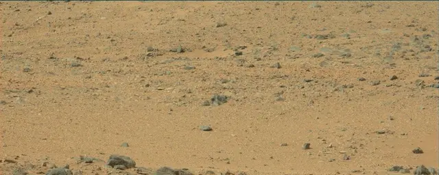 Sol 110: Mast Camera (Mastcam)