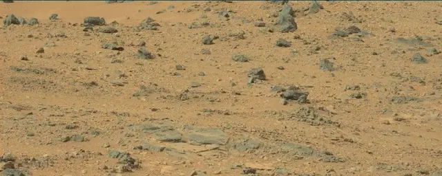 Sol 110: Mast Camera (Mastcam)