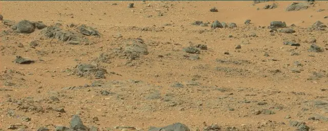 Sol 110: Mast Camera (Mastcam)