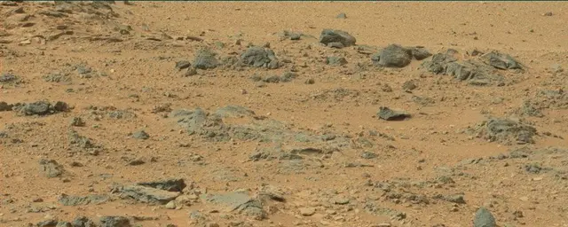 Sol 110: Mast Camera (Mastcam)