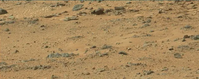 Sol 110: Mast Camera (Mastcam)