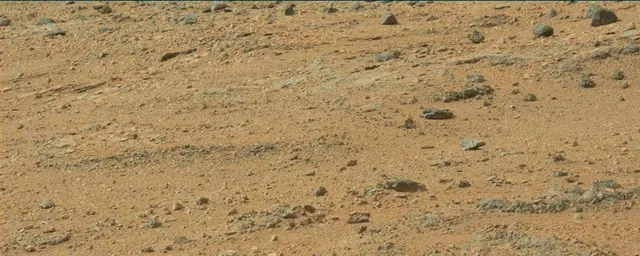 Sol 110: Mast Camera (Mastcam)