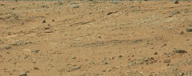 Sol 110: Mast Camera (Mastcam)
