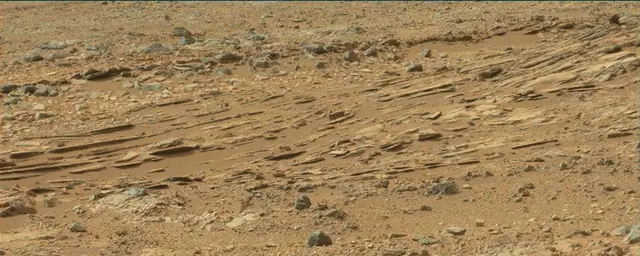 Sol 110: Mast Camera (Mastcam)