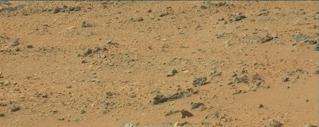 Sol 110: Mast Camera (Mastcam)