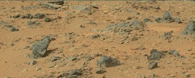 Sol 110: Mast Camera (Mastcam)