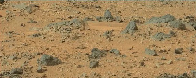 Sol 110: Mast Camera (Mastcam)