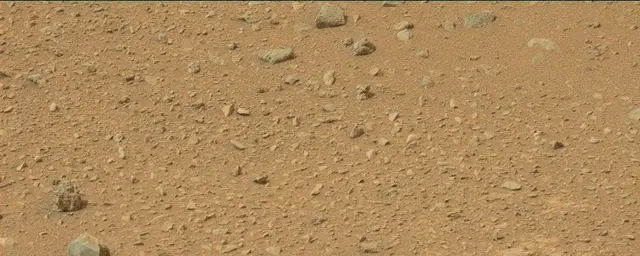 Sol 110: Mast Camera (Mastcam)