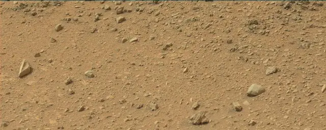 Sol 110: Mast Camera (Mastcam)