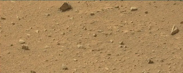 Sol 110: Mast Camera (Mastcam)