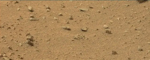 Sol 110: Mast Camera (Mastcam)