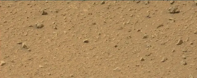 Sol 110: Mast Camera (Mastcam)