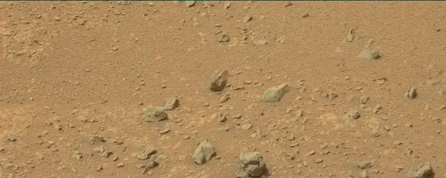 Sol 110: Mast Camera (Mastcam)