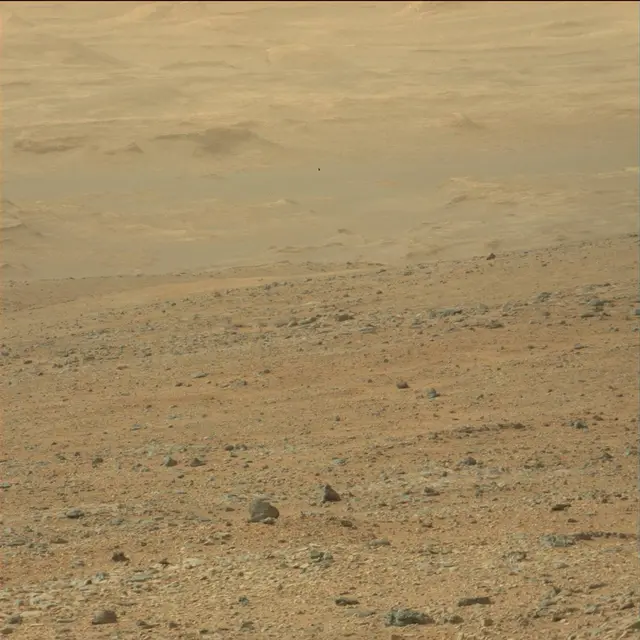 Sol 110: Mast Camera (Mastcam)