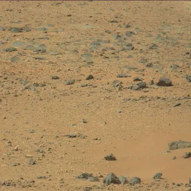 Sol 110: Mast Camera (Mastcam)