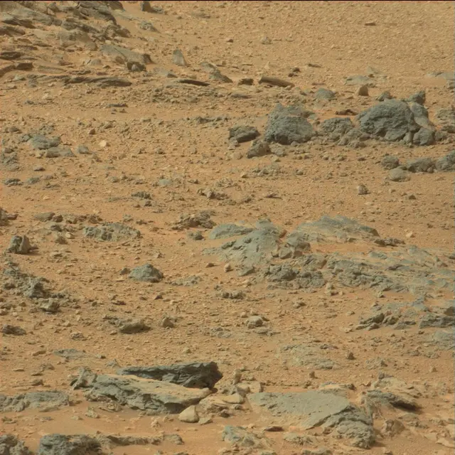 Sol 110: Mast Camera (Mastcam)