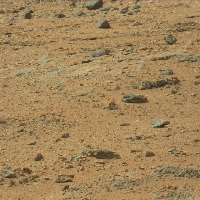 Sol 110: Mast Camera (Mastcam)