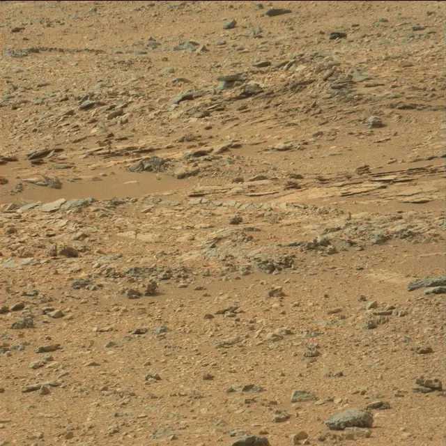 Sol 110: Mast Camera (Mastcam)