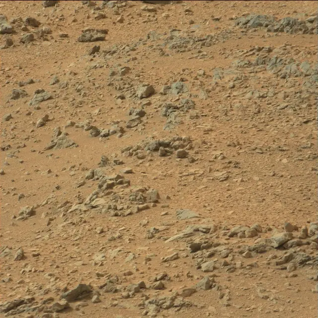 Sol 110: Mast Camera (Mastcam)